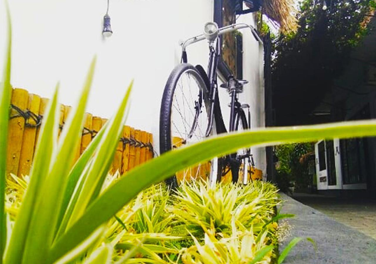Rumah Roso Homestay Yogyakarta Dış mekan fotoğraf