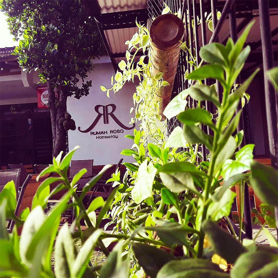 Rumah Roso Homestay Yogyakarta Dış mekan fotoğraf